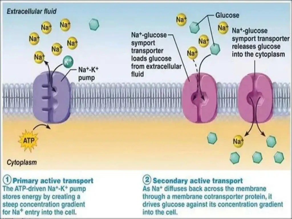 slide8