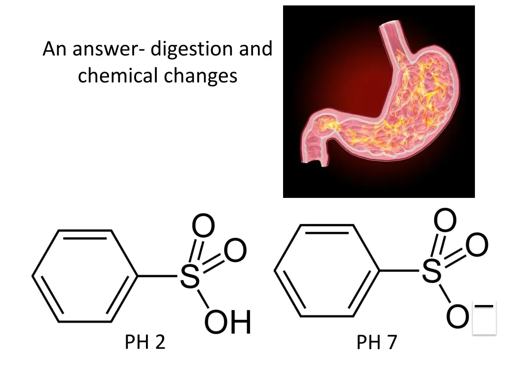 an answer digestion and chemical changes