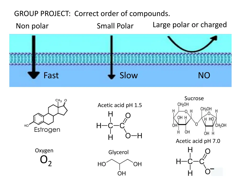 group project correct order of compounds