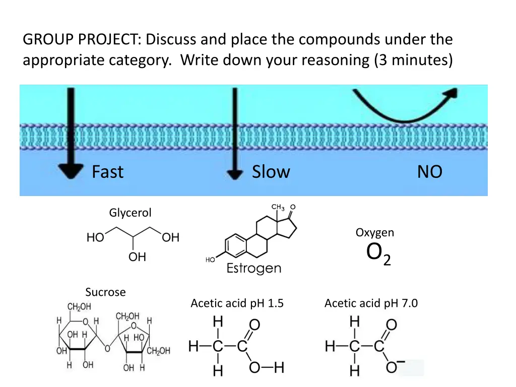 group project discuss and place the compounds