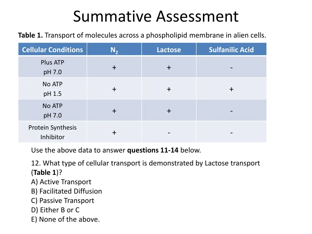 summative assessment 1