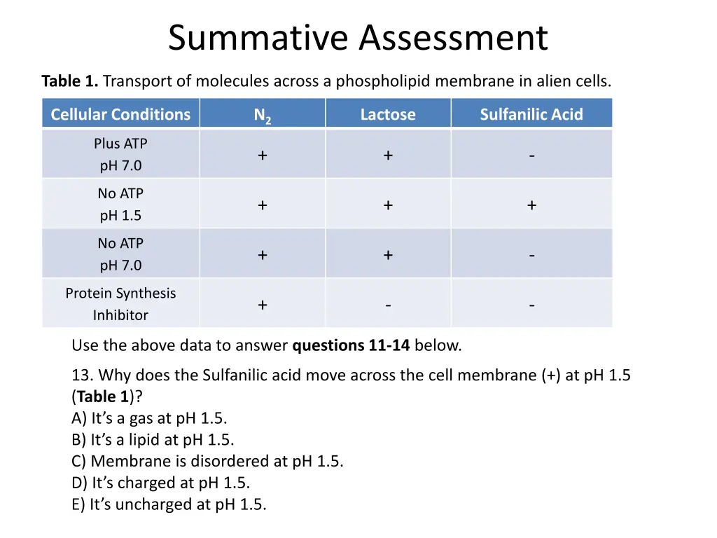 summative assessment 2
