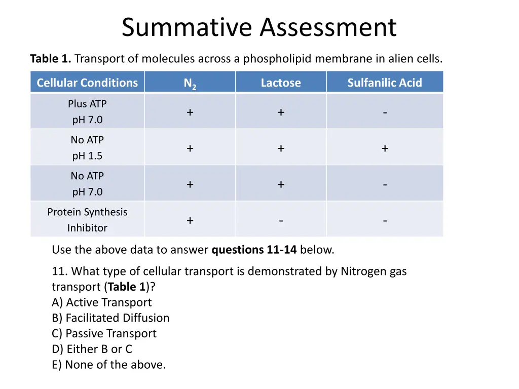summative assessment
