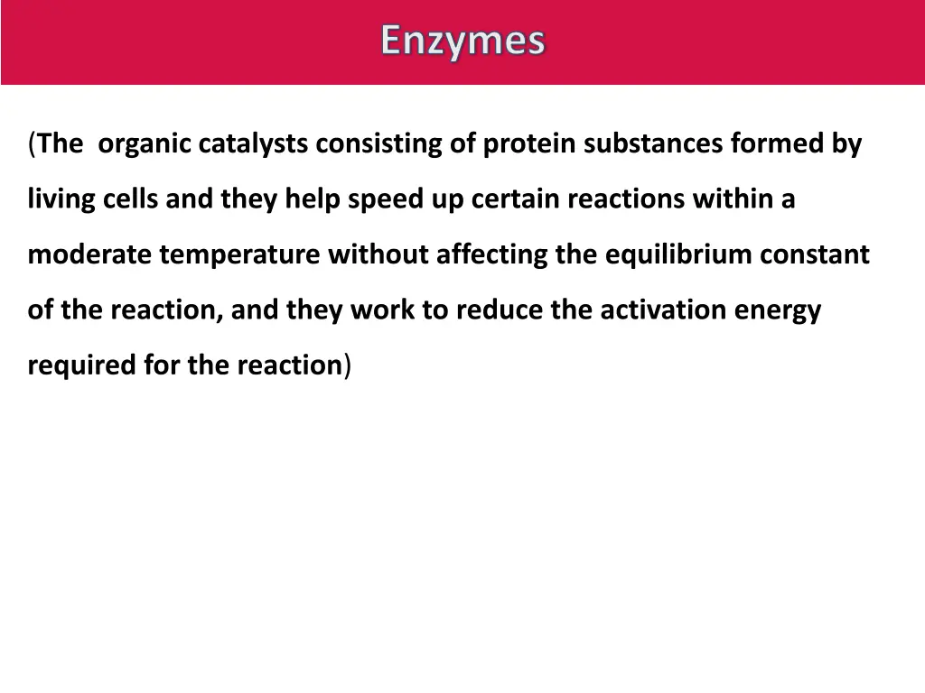 enzymes 1