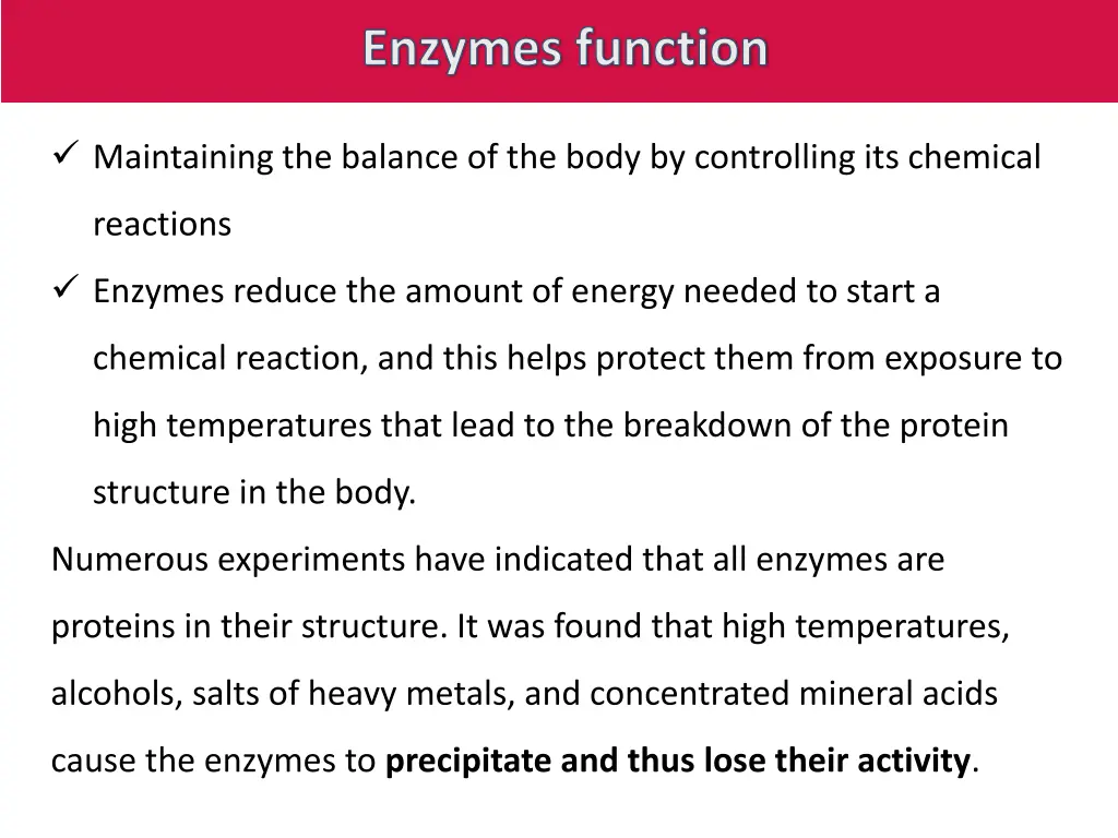enzymes function