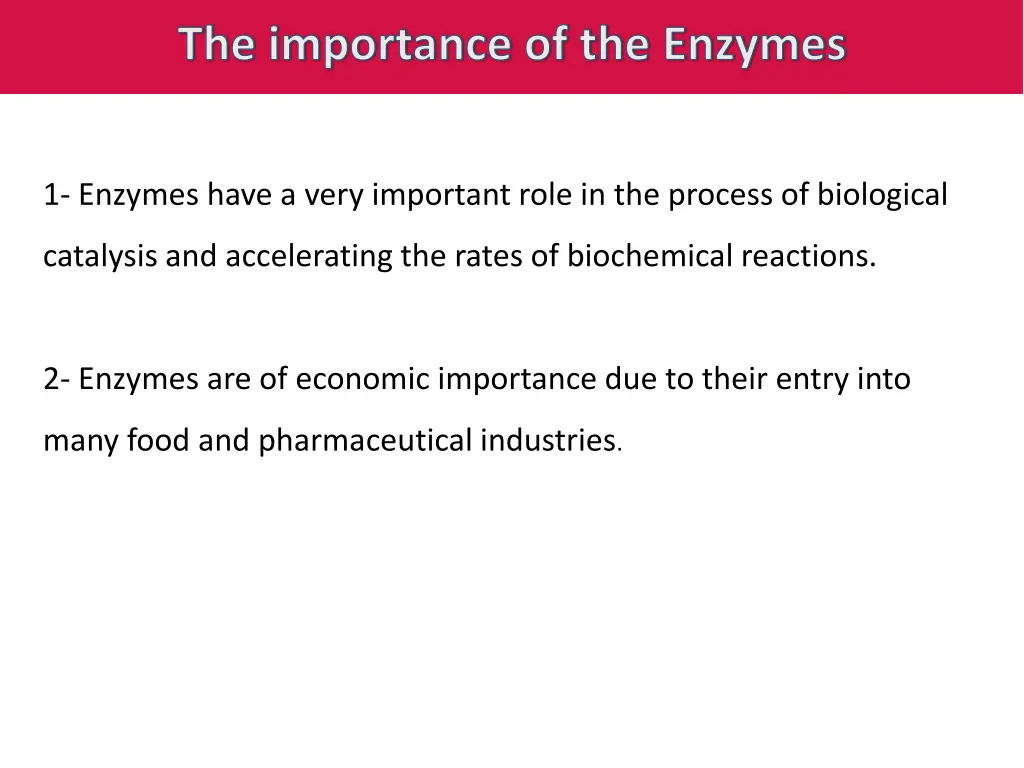 the importance of the enzymes
