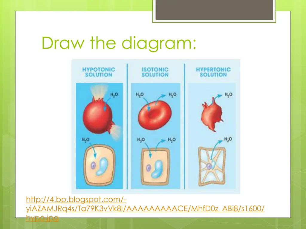 draw the diagram