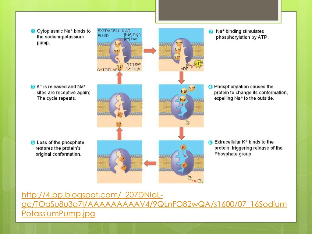 http 4 bp blogspot com 207dnial gc toasu8u3q7i