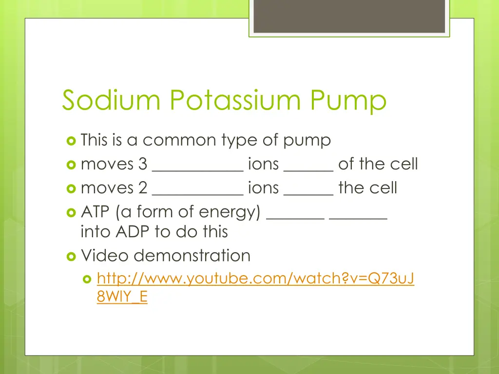 sodium potassium pump