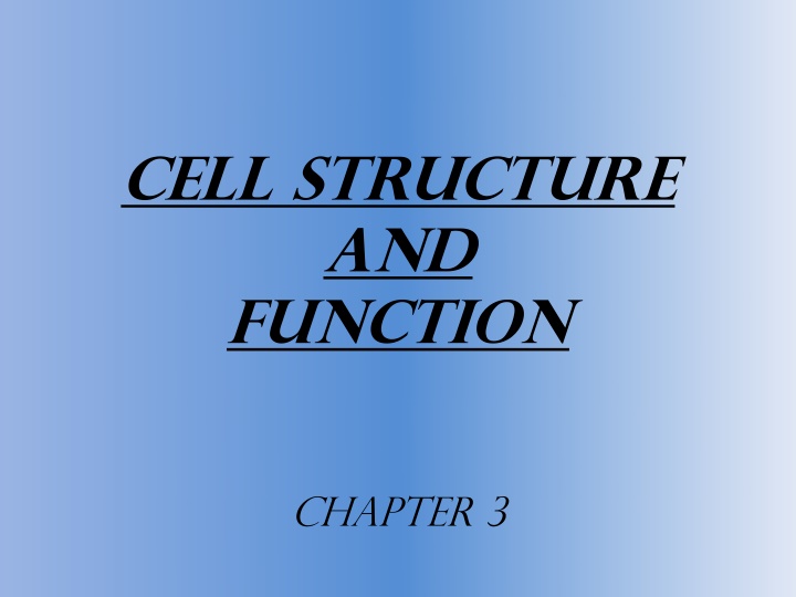 cell structure and function
