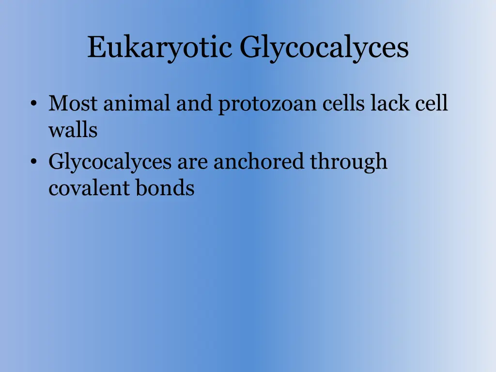 eukaryotic glycocalyces