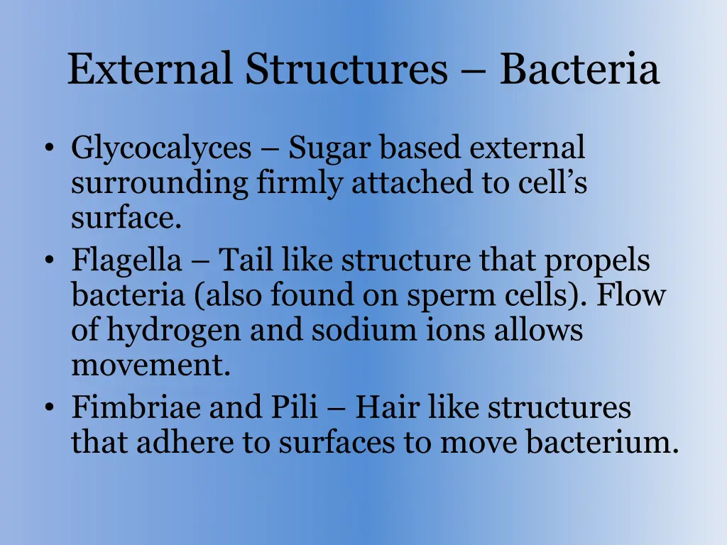 external structures bacteria