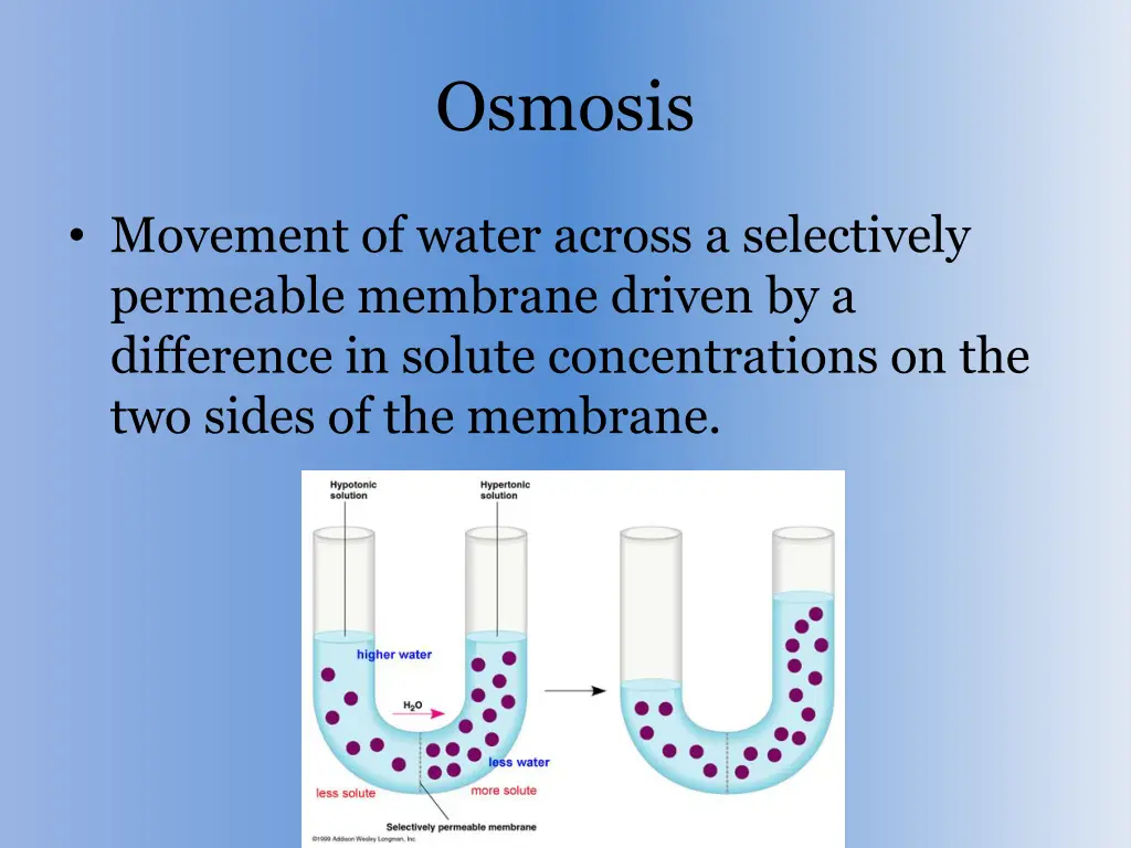 osmosis