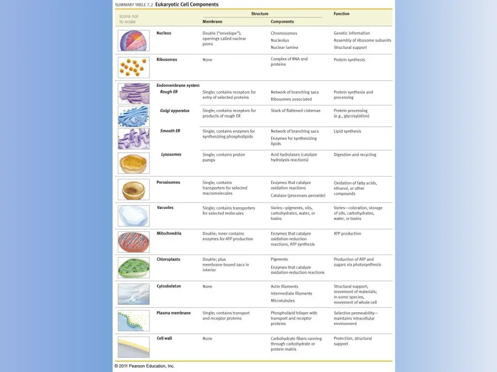 slide20