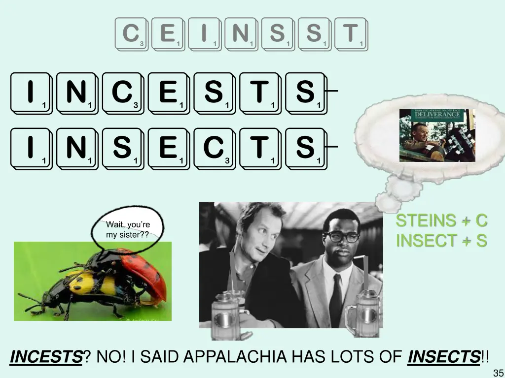 ceinsst incests insects