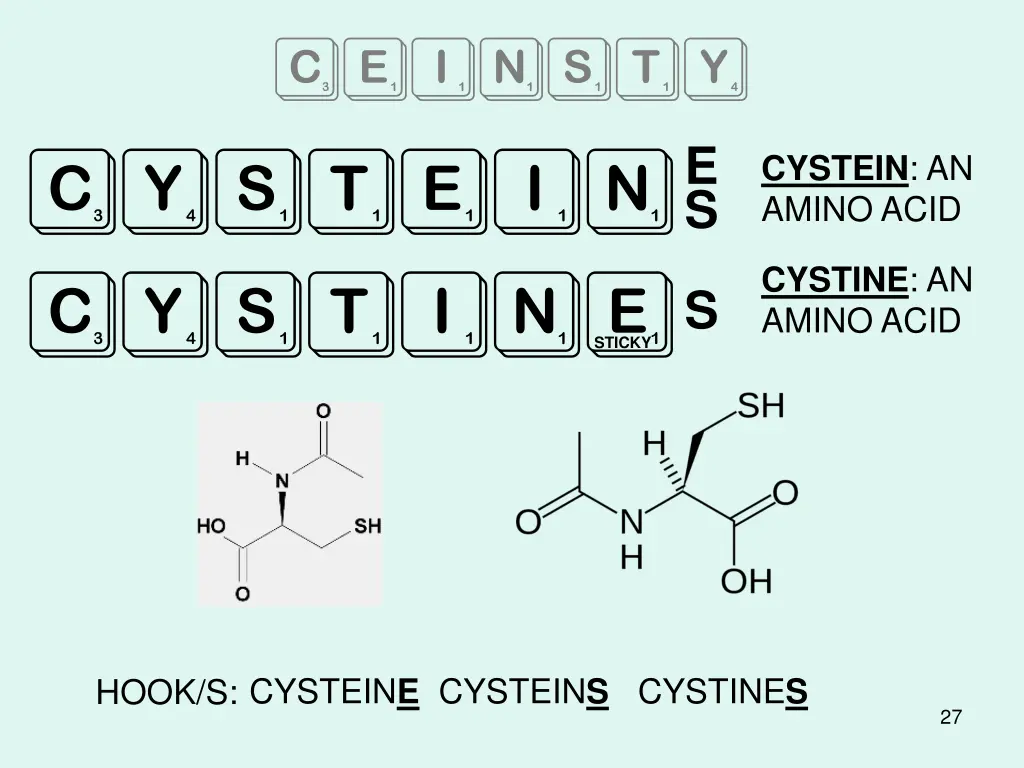 ceinsty