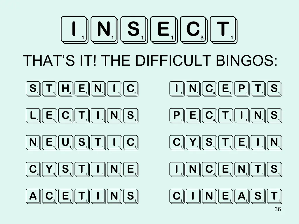 insect 2