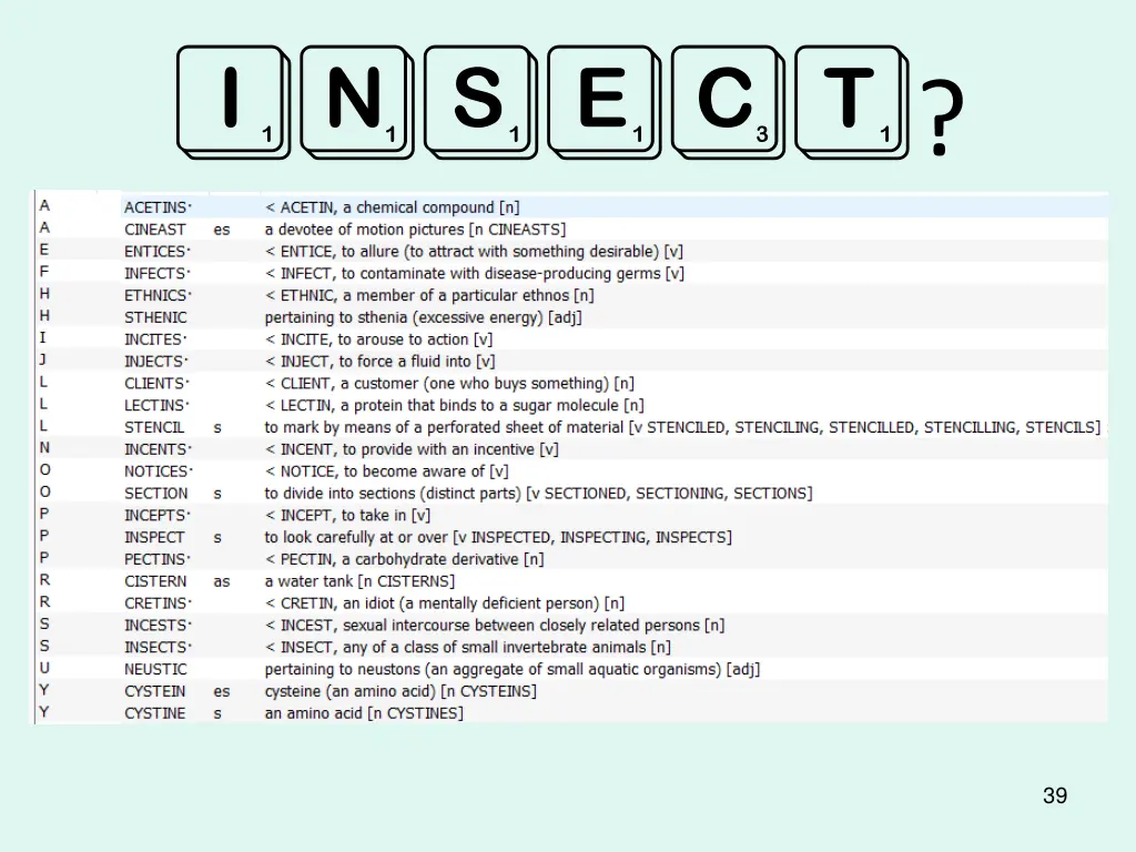 insect 5