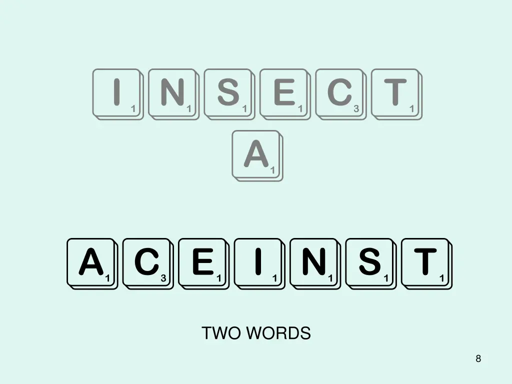 insect a