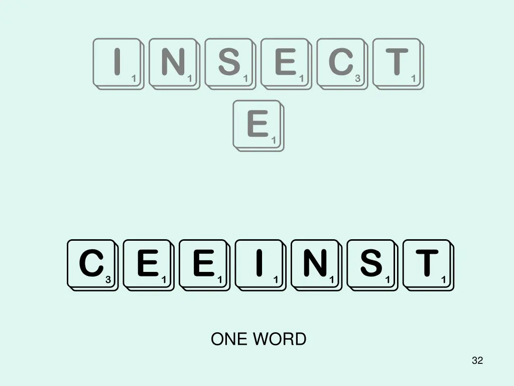 insect e