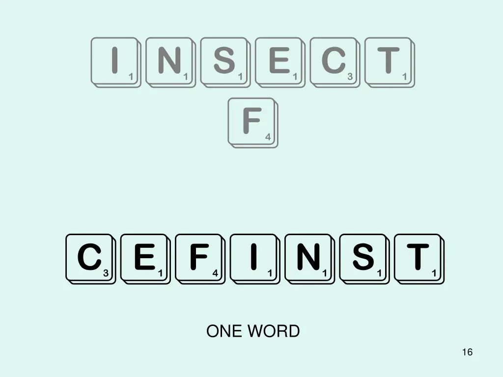 insect f