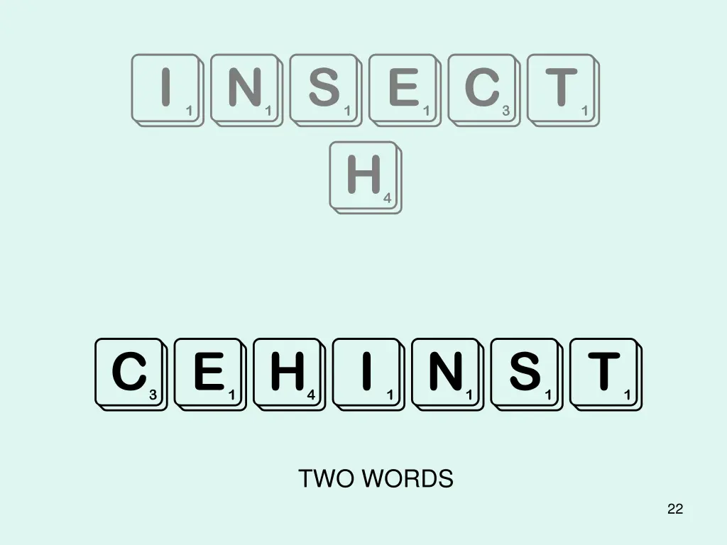 insect h