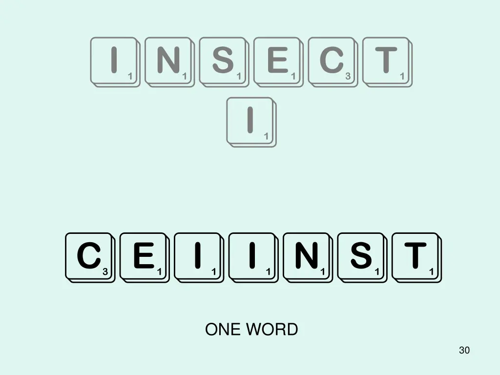 insect i