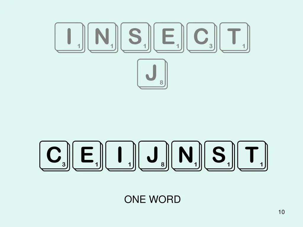 insect j