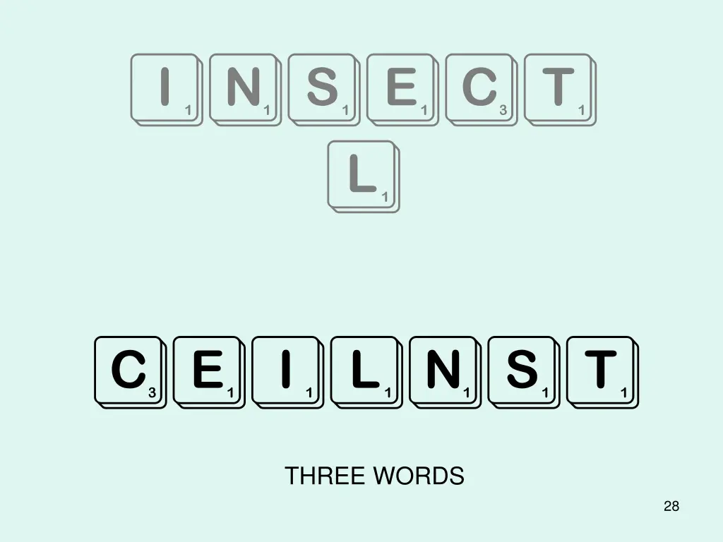 insect l