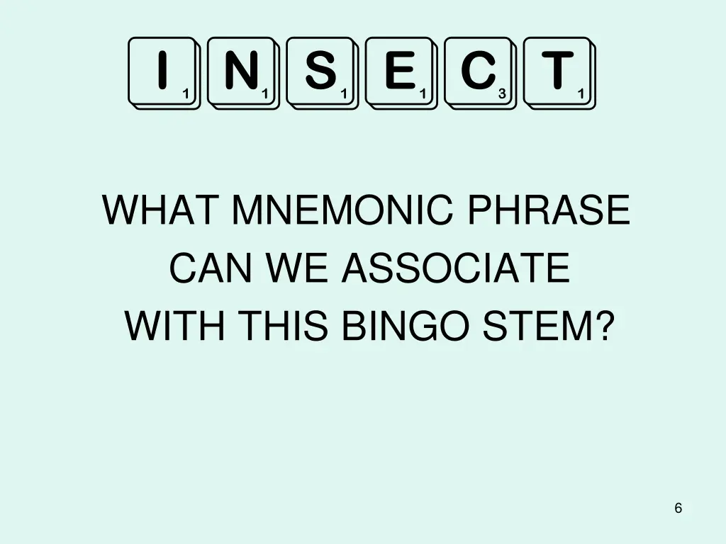 insect