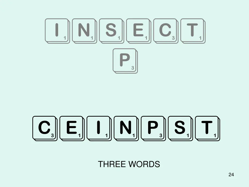 insect p
