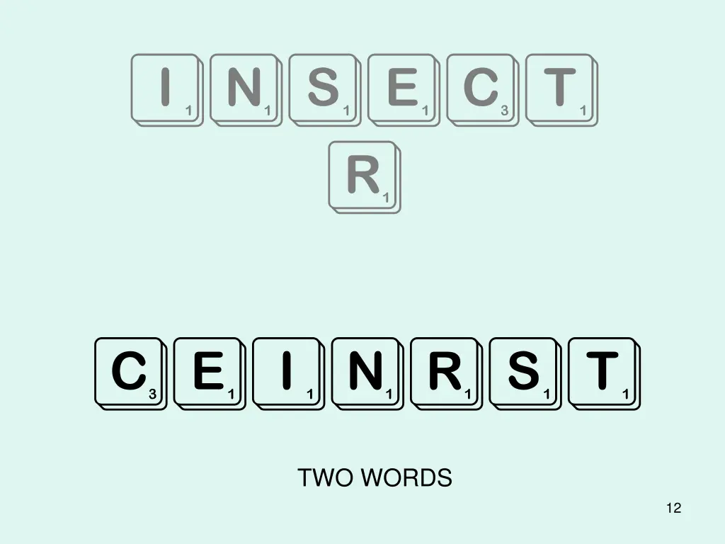 insect r