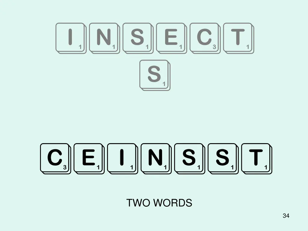 insect s
