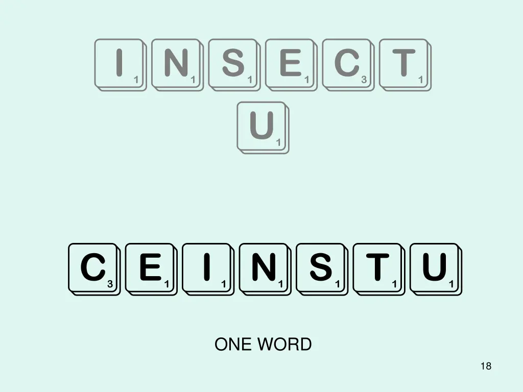 insect u
