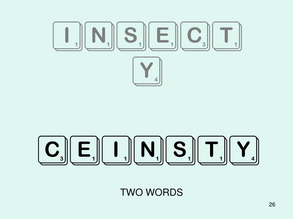insect y
