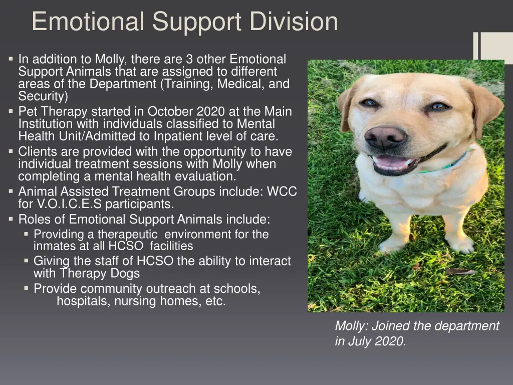 emotional support division