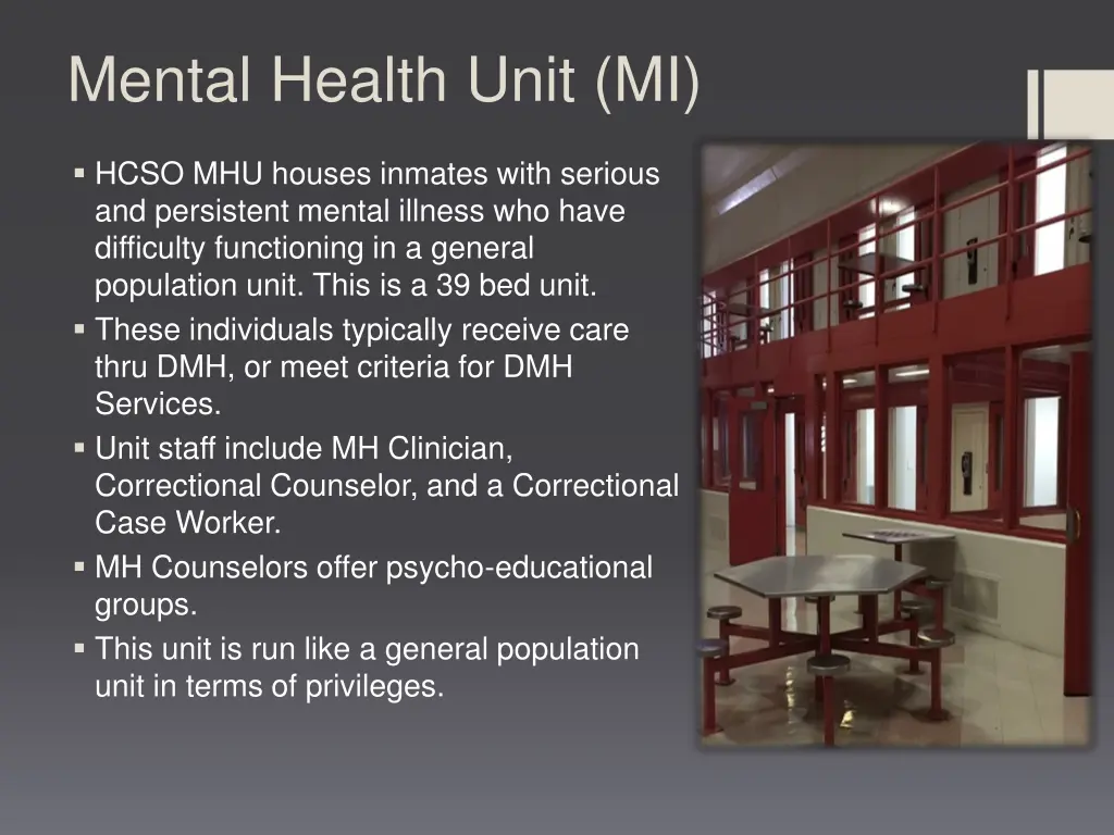 mental health unit mi