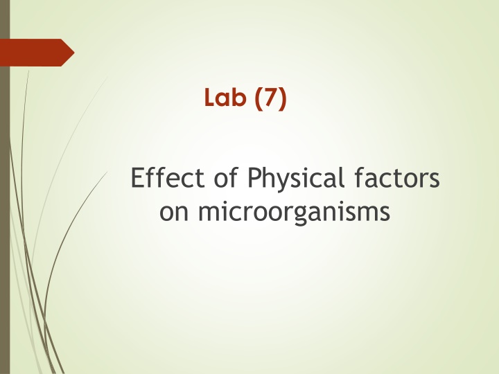 lab 7