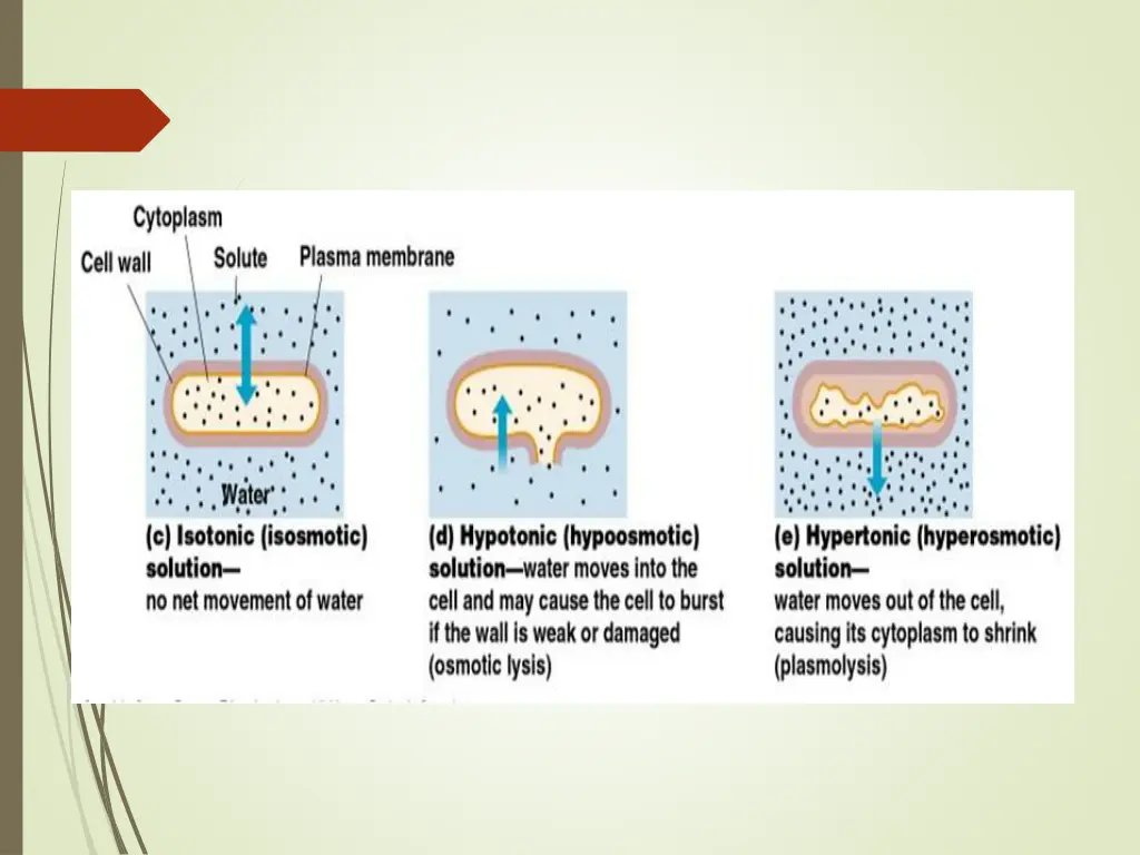 slide13