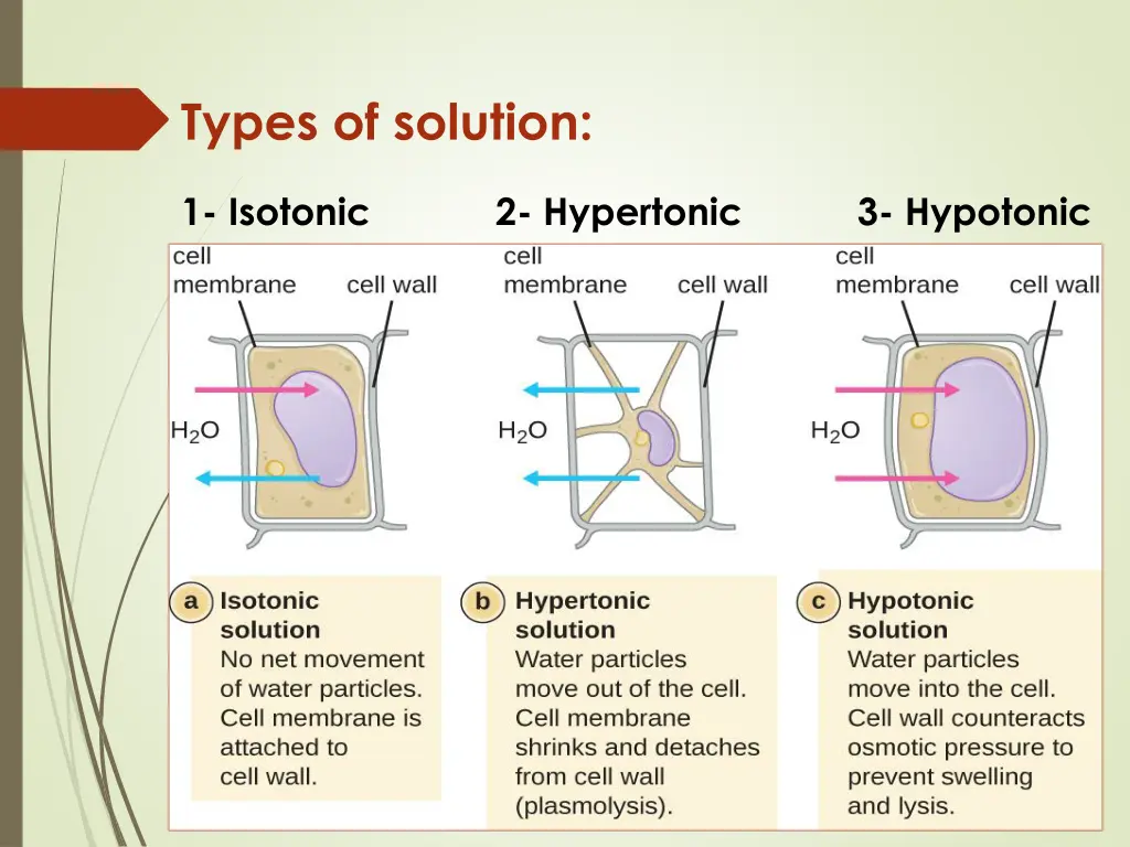 types of solution