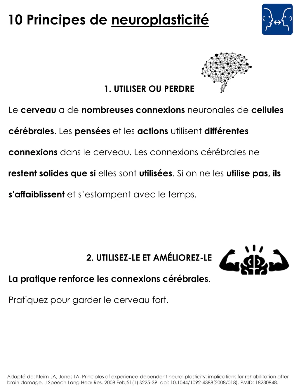 10 principes de neuroplasticit 1