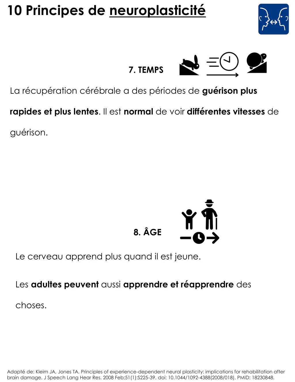 10 principes de neuroplasticit 4
