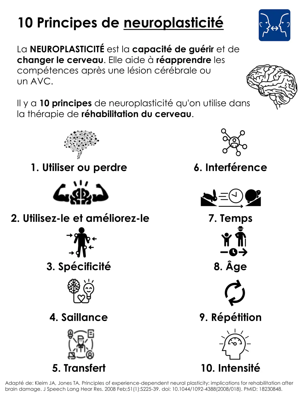 10 principes de neuroplasticit