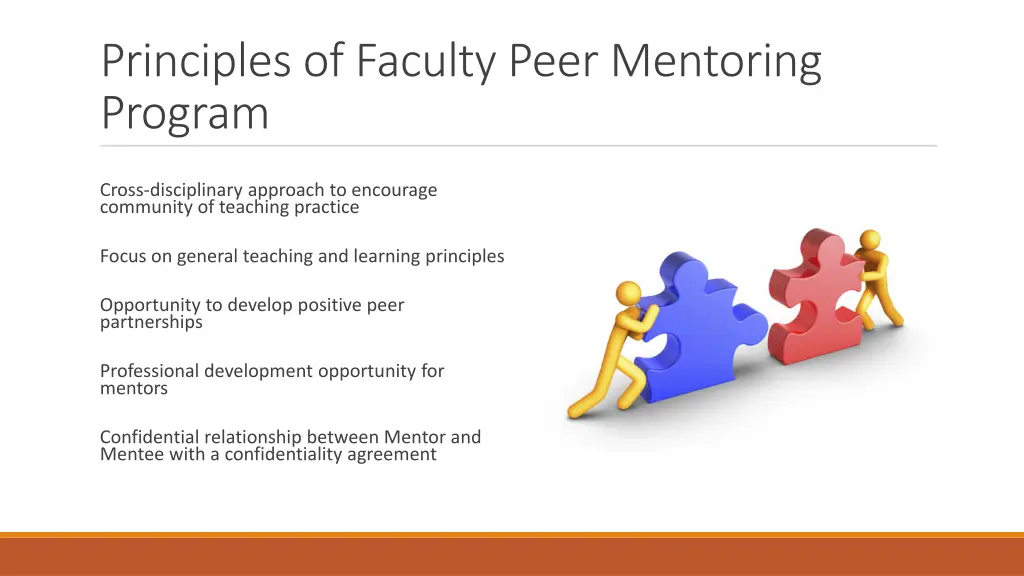 principles of faculty peer mentoring program