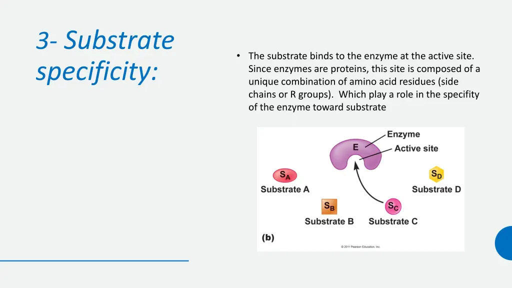 3 substrate specificity