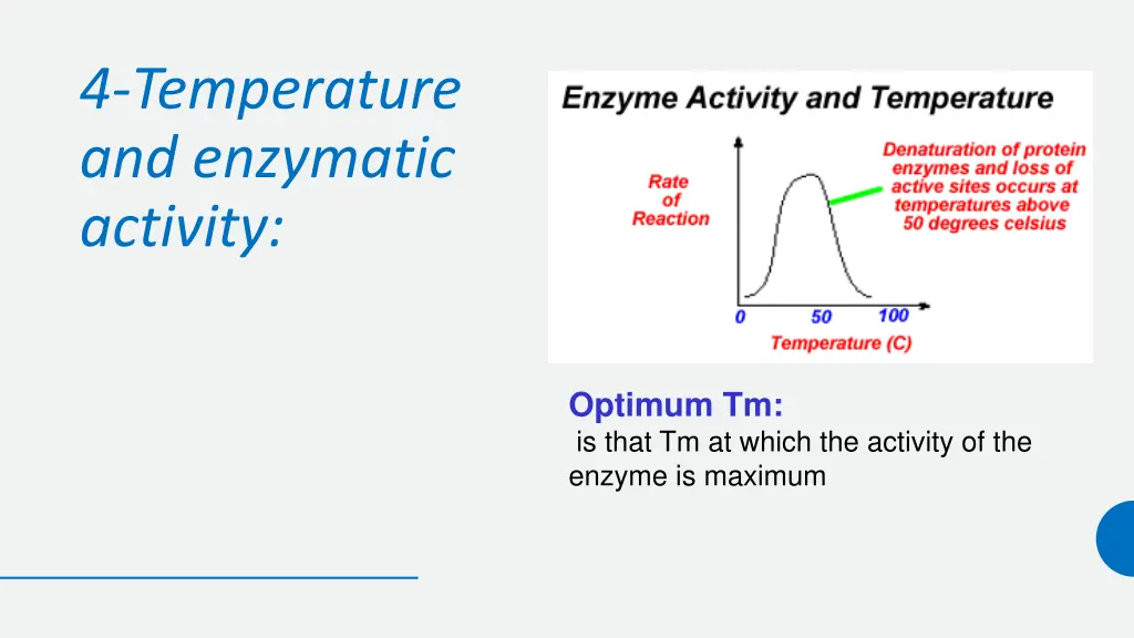 4 temperature and enzymatic activity