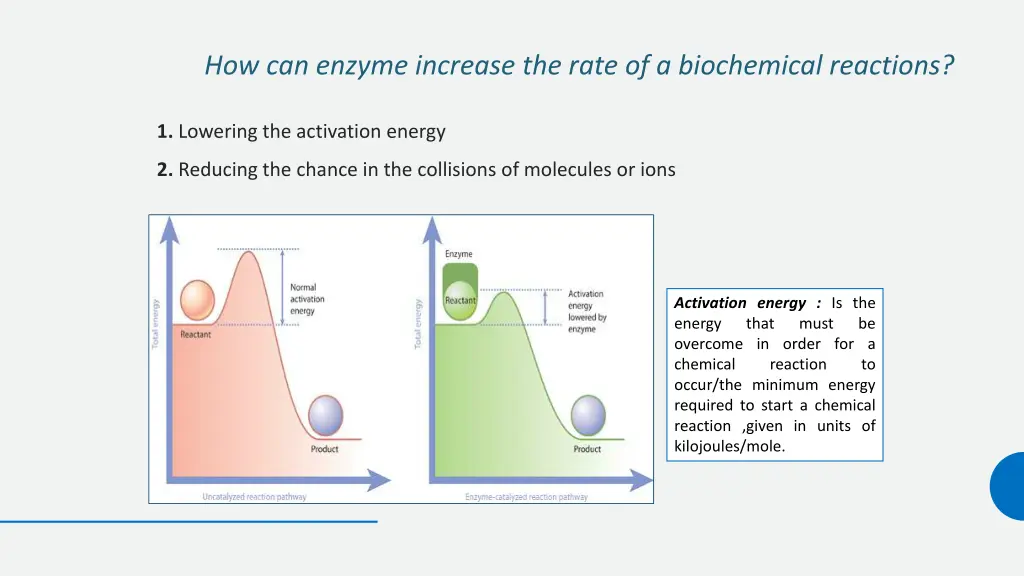how can enzyme increase the rate of a biochemical