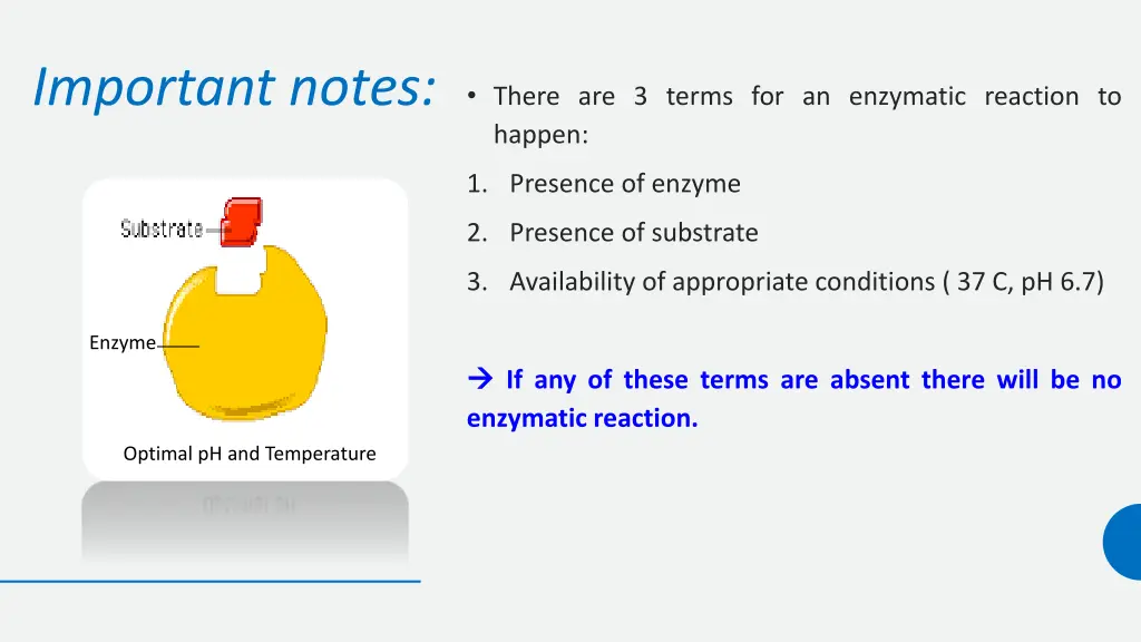 important notes
