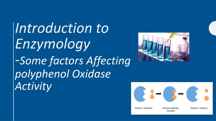 introduction to enzymology some factors affecting