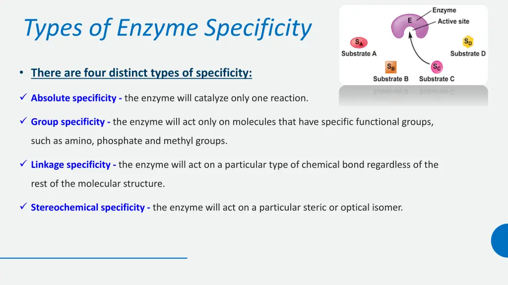 types of enzyme specificity